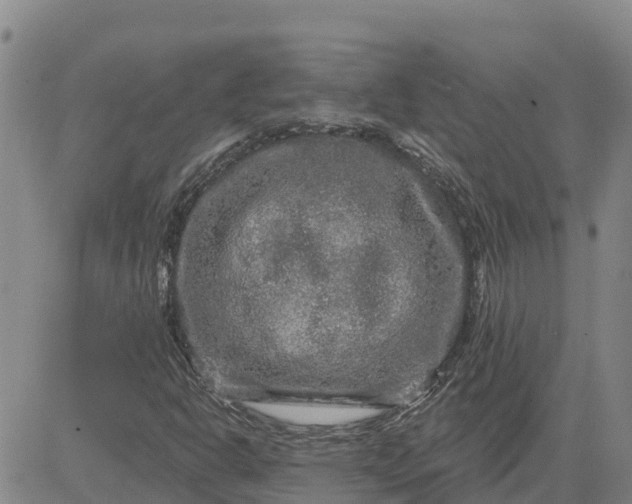 X0000080691302200612301439