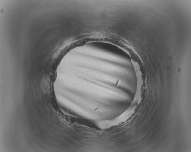 X0000080691304200612301439