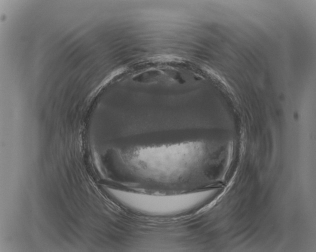 X0000080691305200612301439