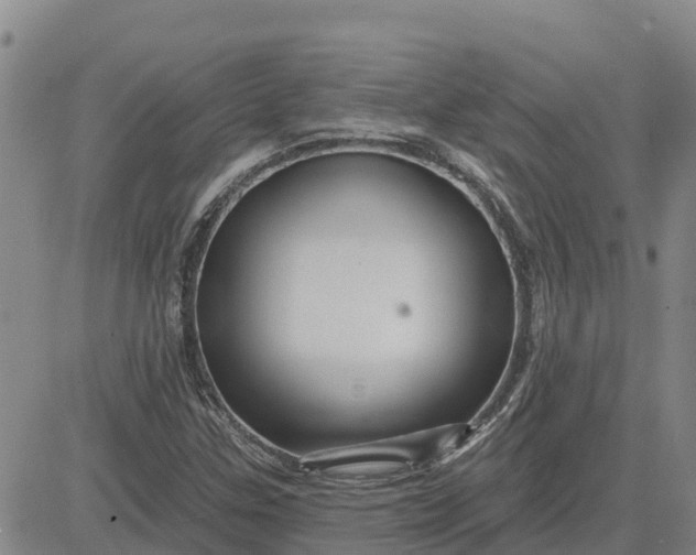 X0000080691307200612301439