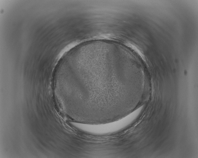 X0000080691308200612301439