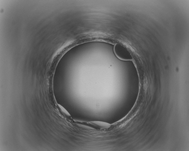 X0000080691309200612301439