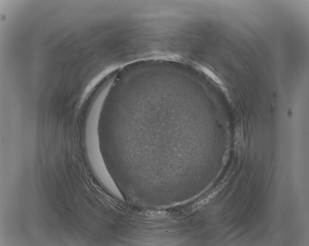 X0000080691310200612301439