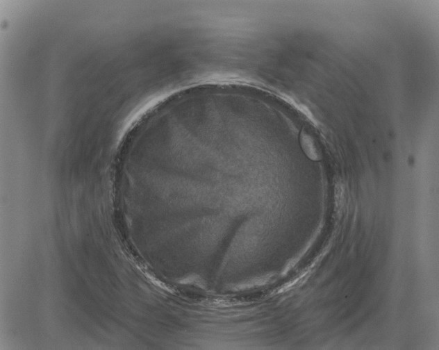 X0000080691311200612301439