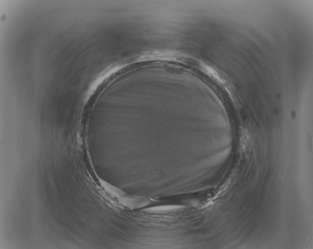 X0000080691312200612301439