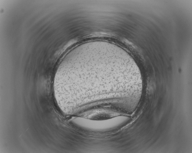 X0000080691313200612301439