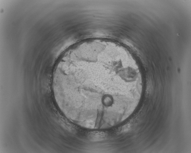 X0000080691314200612301439