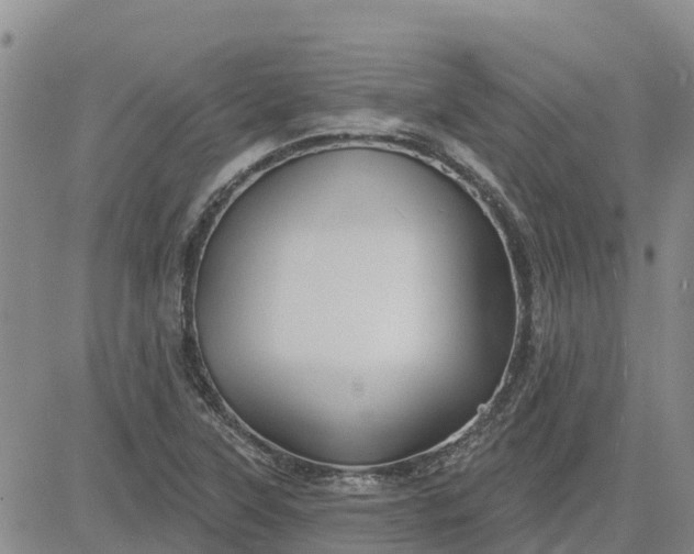 X0000080691315200612301440