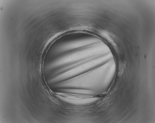 X0000080691316200612301440