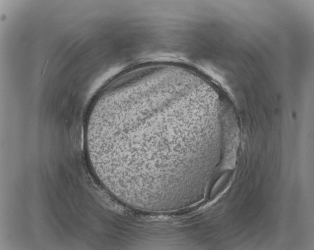 X0000080691317200612301440