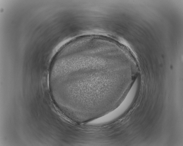 X0000080691320200612301440