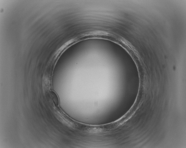 X0000080691321200612301440