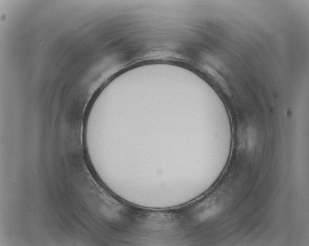 X0000080691322200612301440