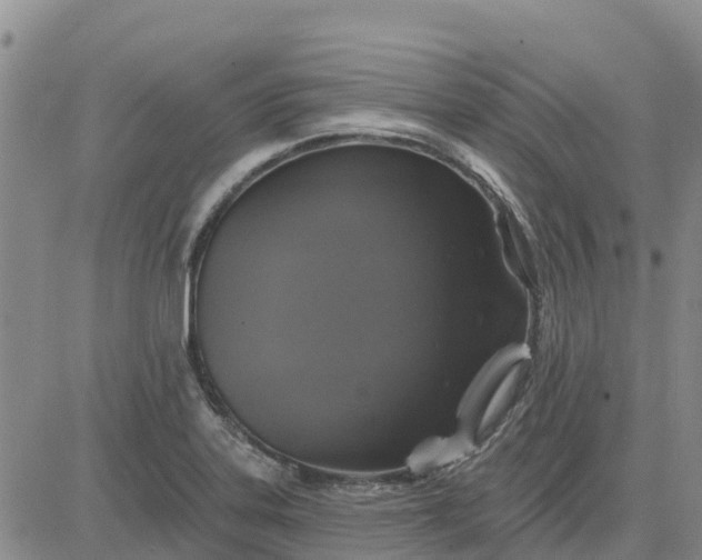 X0000080691323200612301440