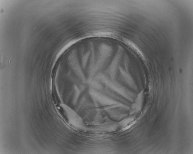 X0000080691324200612301440