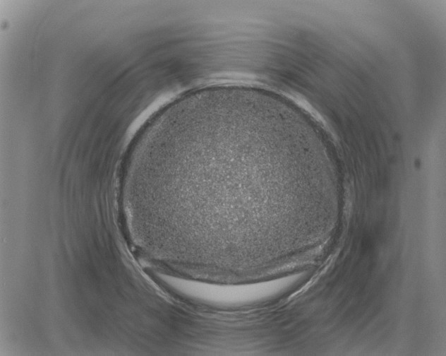 X0000080691325200612301440