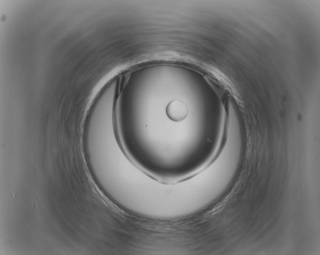 X0000080691326200612301440