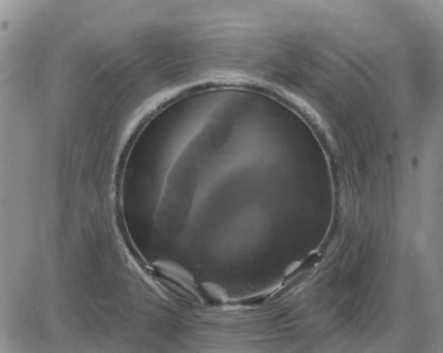 X0000080691327200612301440