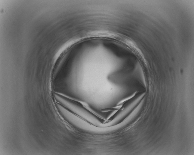 X0000080691328200612301440