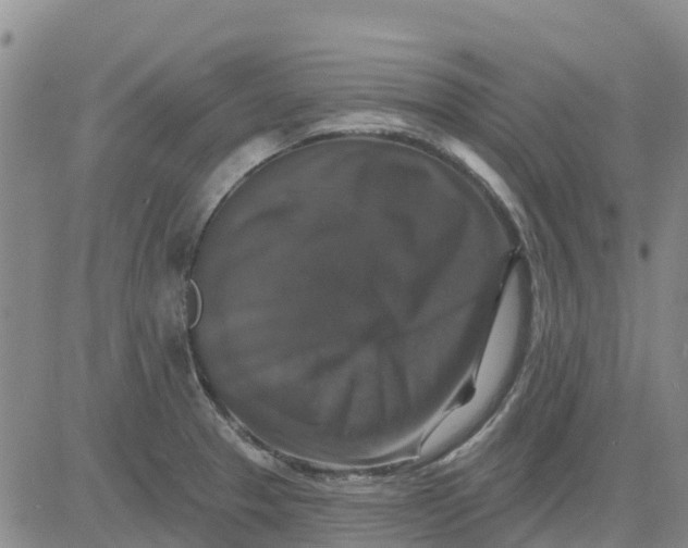 X0000080691329200612301440