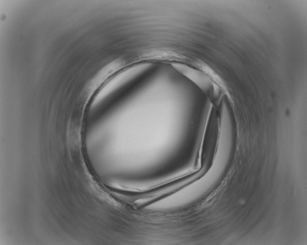 X0000080691330200612301440