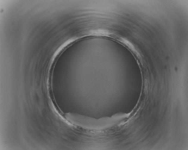 X0000080691331200612301440