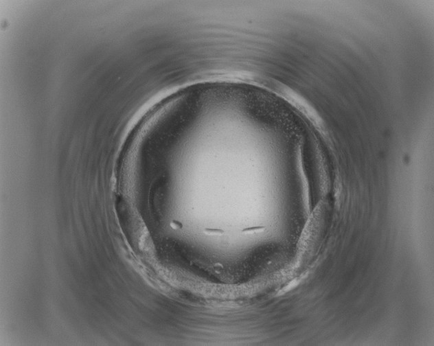 X0000080691332200612301440