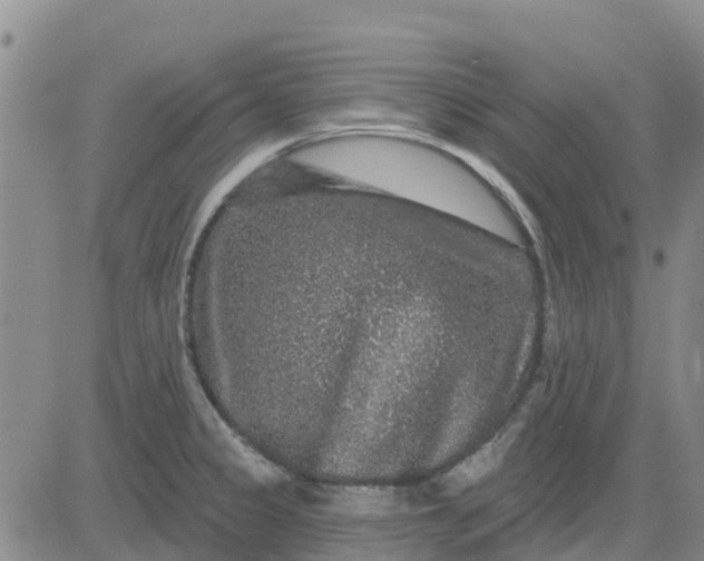 X0000080691333200612301440