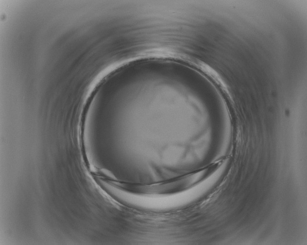 X0000080691334200612301440