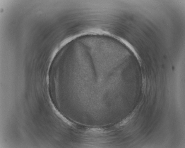 X0000080691335200612301440