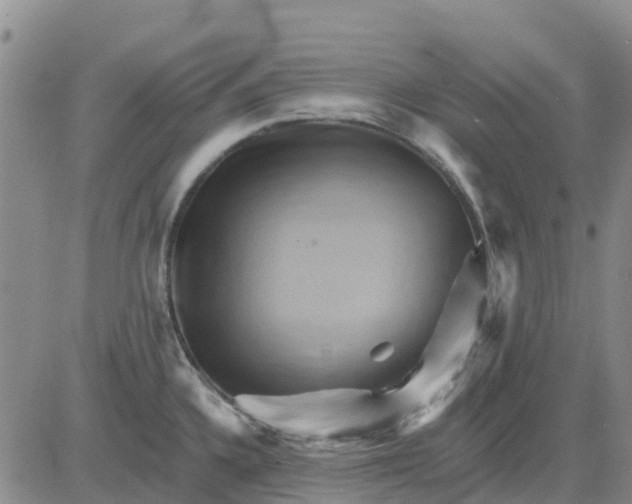 X0000080691336200612301440