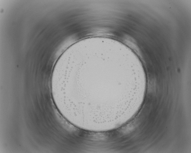 X0000080691338200612301440