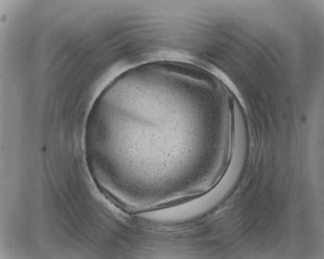 X0000080691339200612301440