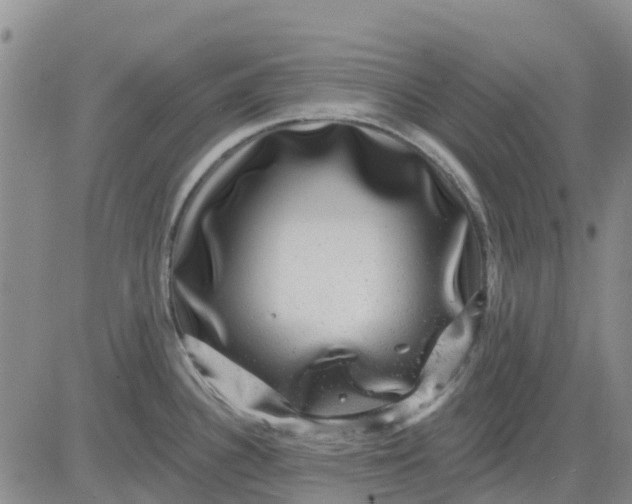 X0000080691340200612301440