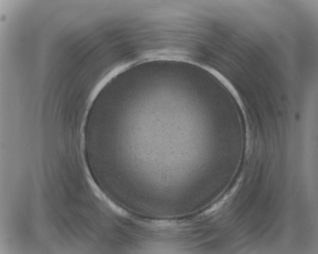 X0000080691341200612301440