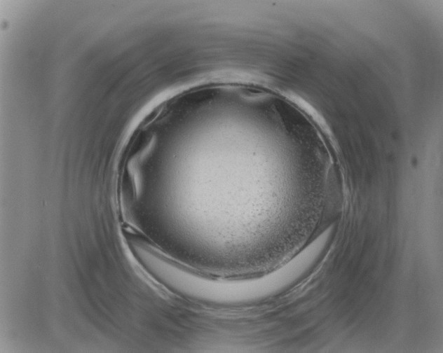 X0000080691342200612301440