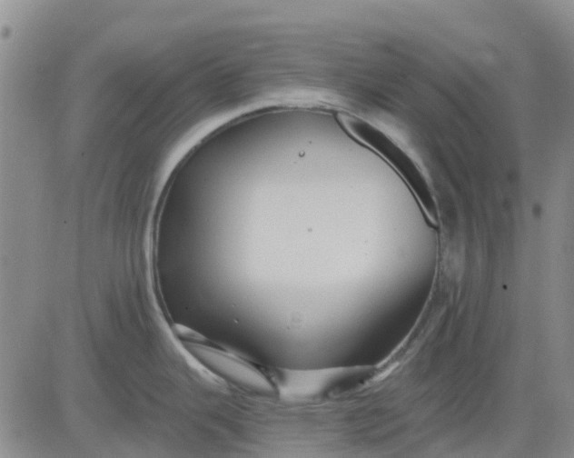 X0000080691343200612301440