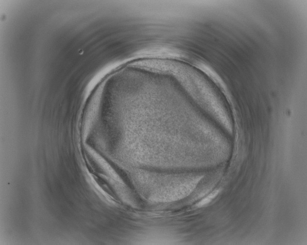 X0000080691344200612301440