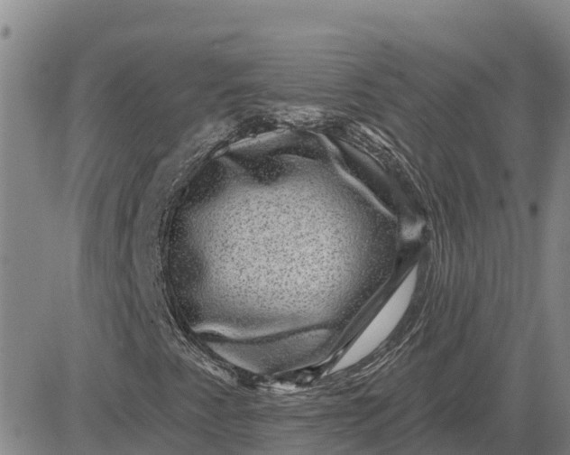 X0000080691345200612301439