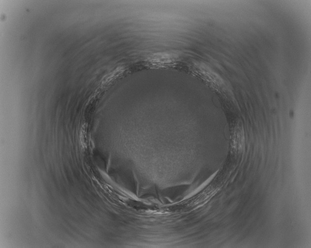 X0000080691346200612301439