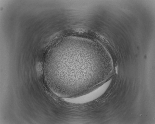 X0000080691347200612301439