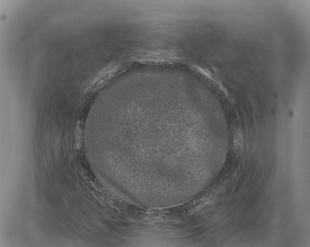 X0000080691350200612301439