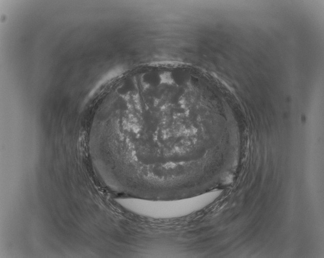 X0000080691351200612301439