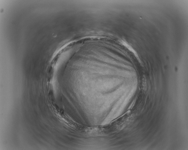 X0000080691352200612301439