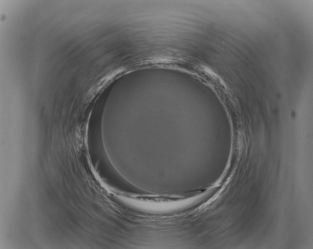 X0000080691353200612301439