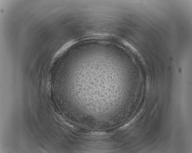 X0000080691354200612301439