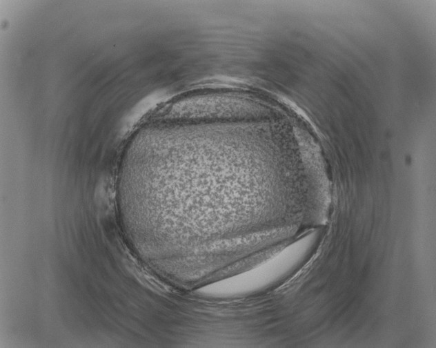 X0000080691355200612301439