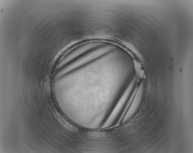 X0000080691356200612301439