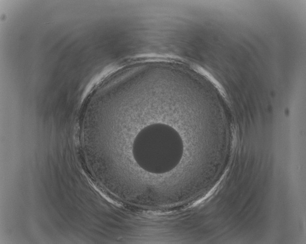 X0000080691357200612301439