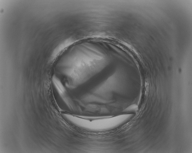 X0000080691359200612301439